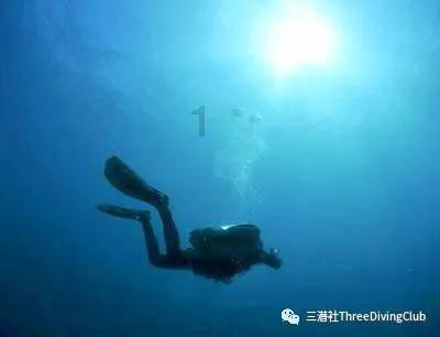 媒体:德国和美国蓄推迟乌克兰入约进程